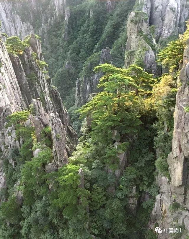 行尸走肉：最终季